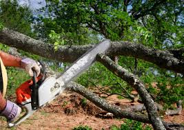Best Weed Control  in Piedmont, CA